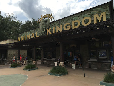 Our #AwakenSummer Experience at Disney's Animal Kingdom Theme Park